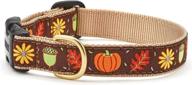 🐶 large 15-21 inches up country harvest time pattern dog collar - 1 inch width logo