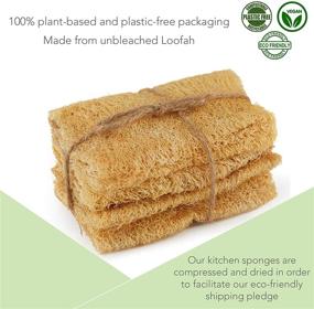 img 3 attached to ENEY Eco Friendly Plant Based Biodegradable Plastic Free Household Supplies