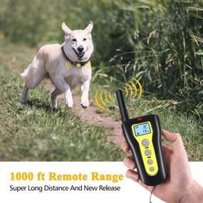img 1 attached to Пультовой ошейник для дрессировки собак AngelaKerry на расстоянии 1000 футов - водонепроницаемый, перезаряжаемый, сигнал/вибрация/электрический шок