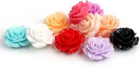 img 2 attached to 🌸 Lot of 55Pcs Mixed Resin Rose Flowers Cabochons Cameo Flat Back 18x9mm for DIY Crafts (Random Assortment)