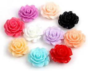 img 1 attached to 🌸 Lot of 55Pcs Mixed Resin Rose Flowers Cabochons Cameo Flat Back 18x9mm for DIY Crafts (Random Assortment)