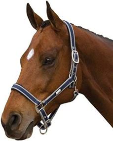 img 2 attached to Roma Breakaway Neoprene Padded Halter