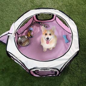 img 3 attached to 🐾 Portable Pop Up Pet Playpen Collection by PETMAKER