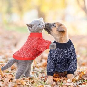 img 1 attached to 🐶 Cozy and Stylish 4-Piece Dog Sweater Set for Small Pets - Ultimate Winter Protection for Your Dogs and Cats