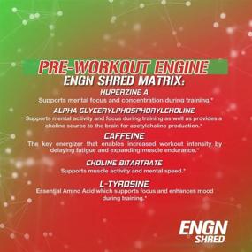 img 1 attached to 💥 ENGN Shred Pre Workout Powder, Energy Booster, 30 Servings - Cherry Limeade