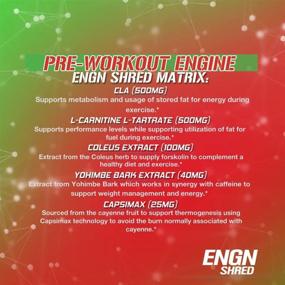 img 2 attached to 💥 ENGN Shred Pre Workout Powder, Energy Booster, 30 Servings - Cherry Limeade