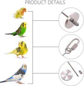 img 3 attached to 🐦 Bird Food Holder - QBLEEV Stainless Steel Bird Feeders for Parrots, with Fruit and Vegetable Stick Holder - Foraging Toy and Small Size Bird Treat Skewer