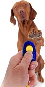 img 3 attached to 🐶 SunGrow Dog Clickers with Wrist Bands 2-Pack – Red and Blue, 2.5x1 Inch, Ideal Training Tools for Puppies and Cats