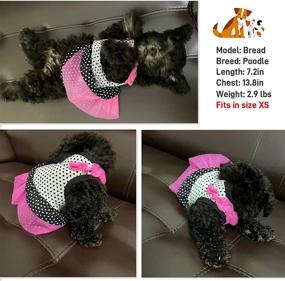 img 1 attached to Cute Dog Dress Collar Set