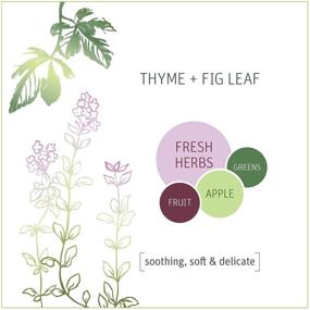 img 1 attached to 🌿 Grab Green Automatic Dishwashing Detergent Pods – Thyme Fig Leaf Scent, 24 Count: Superior Cleaning, Powerful Grease Removal & Brilliant Shine