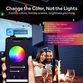 img 3 attached to 🌈 Smart Color Changing RGB & White LED Waterproof Outdoor String Lights - 49ft Patio Lights, Heavy Duty Cafe Lights Outdoor WiFi, Alexa and Google Compatible, 2.4GHz, 4.5 Watt, 15 Bulb