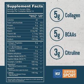 img 3 attached to 🍉 Vital Performance Pre-Workout Powder with NSF for Sport Certification, 5g Collagen from Vital Proteins, Low Sugar, 140mg Caffeine, 1.5g Creatine Nitrate, 1.5g Arginine Nitrate, Watermelon Blueberry Flavor