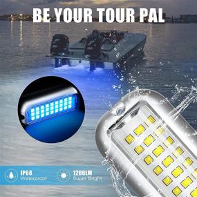 img 2 attached to 🚤 BASIKER BS1 Marine LED Boat Light - High Brightness (2x1200LM 27LED), 10-36V, 316 Stainless Steel, IP68 Waterproof, Air or Underwater Use - Ideal for Cruise Ships, Yachts, Boats - Sailboat, Pontoon, Transom Lighting (Blue)