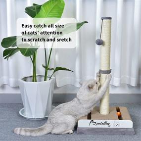 img 2 attached to 🐾 Premium Petellow 31'' Tall Cat Scratching Post with Hanging Ball - Ultimate Indoor Cat Scratcher Board - Stable and Durable Sisal Rope Design for Large Cats