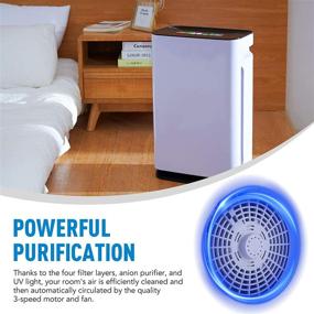 img 1 attached to 🌬️ CO-Z True HEPA Air Purifier: 860 sq ft Room Capacity, 6-in-1 Air Cleaner with Remote Control - Ideal Large Room Air Purifier for Smoke and Dust