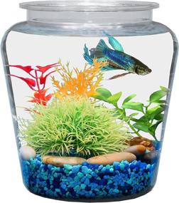 img 3 attached to Koller Products 1 Gallon Fish Bowl