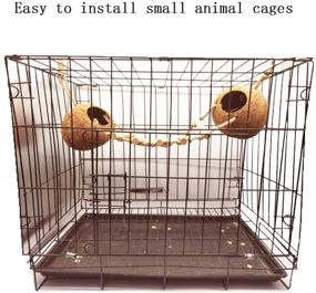 img 2 attached to 🐦 Premium Tfwadmx Coconut Hide & Ladder Perches: Hanging Bird House Toy for Parrot Breeding Nest, Gecko, Parakeet, Lovebird, Finch, Hamster - Natural & Effective!