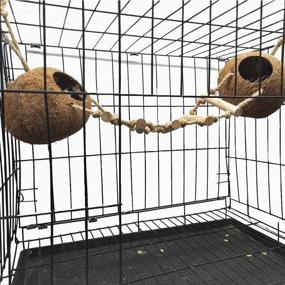 img 1 attached to 🐦 Premium Tfwadmx Coconut Hide & Ladder Perches: Hanging Bird House Toy for Parrot Breeding Nest, Gecko, Parakeet, Lovebird, Finch, Hamster - Natural & Effective!