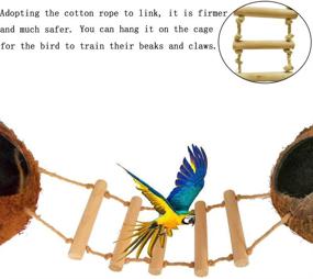 img 3 attached to 🐦 Premium Tfwadmx Coconut Hide & Ladder Perches: Hanging Bird House Toy for Parrot Breeding Nest, Gecko, Parakeet, Lovebird, Finch, Hamster - Natural & Effective!