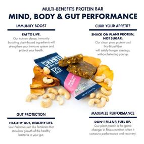 img 1 attached to SHANTI BALANCE, RECOVER Mango Cashew Turmeric Bars - 17G Plant-Based Protein, Organic & Gluten-Free Superfood for Immunity Boosting, Performance Nutrition - 12 Count, 2 oz Bars
