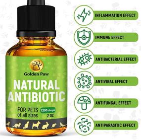 img 3 attached to 🐱 Boost Your Cat's Wellness Naturally with GoldenPaw Herbal Pet Supplement