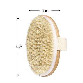 img 2 attached to 🚿 (Set of 2) Natural Bristle Bath Body Brush for Exfoliation, Wet or Dry Brushing, Blood Circulation Stimulation, Skin Massage, and Health Enhancement