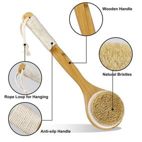 img 1 attached to 🚿 (Set of 2) Natural Bristle Bath Body Brush for Exfoliation, Wet or Dry Brushing, Blood Circulation Stimulation, Skin Massage, and Health Enhancement