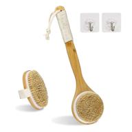 🚿 (set of 2) natural bristle bath body brush for exfoliation, wet or dry brushing, blood circulation stimulation, skin massage, and health enhancement logo