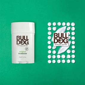 img 2 attached to Bulldog Men's Original Deodorant for Skincare and Grooming, 2.4 Ounce