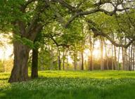 🌲 7x5ft spring backdrop with rural forest trees for photography - blooming flowers, green grassland, nature vinyl photo background for kids, adults - outdoor travel portraits, studio props logo