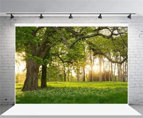 img 1 attached to 🌲 7X5FT Spring Backdrop with Rural Forest Trees for Photography - Blooming Flowers, Green Grassland, Nature Vinyl Photo Background for Kids, Adults - Outdoor Travel Portraits, Studio Props