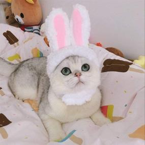 img 1 attached to 🐱 2 Pack Funny Pet Costume: Cat & Small Dog Hat Headwear for Cosplay & Halloween Party