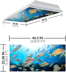 img 3 attached to OCTO LIGHTS Ocean 004 Fluorescent Light Covers for Classroom and Office - Relieve Eyestrain and Headaches caused by Harsh Glare. Enhance Office and Classroom Decorations.