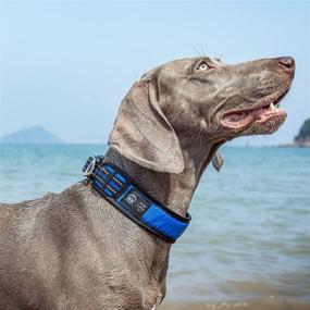 img 3 attached to Reflective Collar Breathable Padded Adjustable