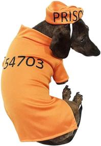 img 1 attached to 🦺 Midlee Orange Prisoner Costume (XXX-Large): Authentic-Looking Jailbird Outfit for an Unforgettable Halloween