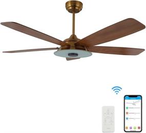 img 4 attached to 🌀 Trifecte 52" Modern Ceiling Fan with Light, Remote, and Smart Compatibility - Reversible DC Motor, Outdoor Use, ETL Listed - Gold/Wooden
