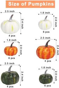 img 3 attached to Stylish Vensovo Decorative Pumpkins: Assorted Sizes for Elegant Home Decor