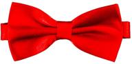 👔 flairs nyc: little gentlemen's bow ties and boys' accessories logo