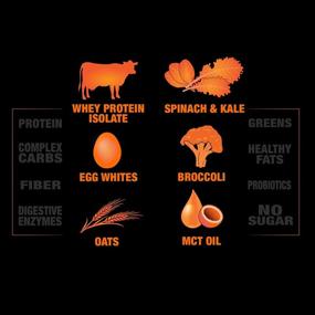 img 1 attached to 🥣 GCode Feast Meal Replacement Protein with Greens (Cinnamon Toast Crush) - Enhanced with Whey Isolate, Egg Whites, Oats, Organic Greens, MCT Oil, Probiotics, and Digestive Enzymes