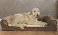 🐾 optimal support and comfort with the arlee memory foam sofa-style pet bed logo