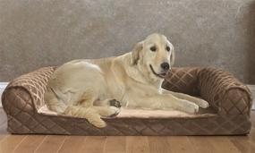 img 4 attached to 🐾 Optimal Support and Comfort with the Arlee Memory Foam Sofa-Style Pet Bed