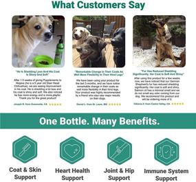 img 1 attached to 🐟 Premium Norwegian Salmon Oil for Dogs & Cats - BPA-Free Aluminum Pump Bottle - Omega 3 & 6 for Healthy Coat - Immune Boost - All Natural - Fish Oil for Pets