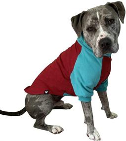 img 4 attached to Tooth Honey Sweater Pitbull Sweatshirt Dogs in Apparel & Accessories