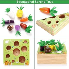 img 1 attached to Montessori Toddlers Educational Learning Developmental