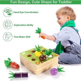 img 3 attached to Montessori Toddlers Educational Learning Developmental