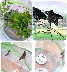 img 2 attached to 🦋 Trasfit Butterfly Habitat Terrarium for Educational Learning and Exploration