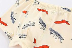 img 2 attached to 🦖 CHUNG Toddler Little Underwear - Dinosaur Print Boys' Clothing