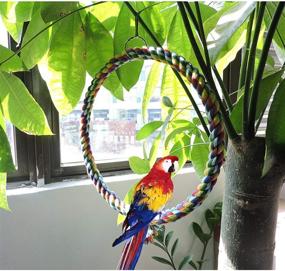 img 2 attached to 🐦 Lotus Bird Swing, Cage Hanging Toys - Bite Resistant Cotton Rope Swing Perch Toy for Parrots - Boredom Breaker for Budgies, Cockatiels, Conures, Finches, and Small Parakeets