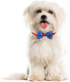 img 2 attached to 🐶 Petunny Dog Bow Ties: 12 Pcs Grooming Bows with Adjustable Collar for Small Medium Large Pets - Ideal for Cats, Dogs, Puppies: Perfect for Christmas Party & Holiday Events