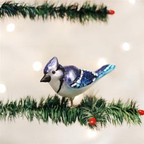 img 2 attached to 🐦 Vintage-Inspired Christmas Tree Ornaments: Bird Watcher Collection Glass Blown Ornaments for Xmas Decor, Vibrant Blue Jay